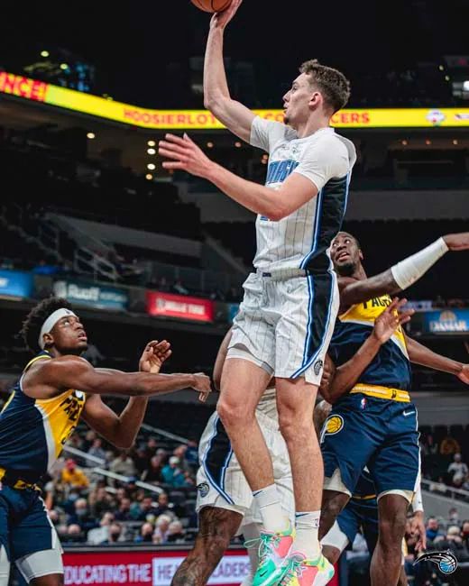 和稳健的网 和稳健的网