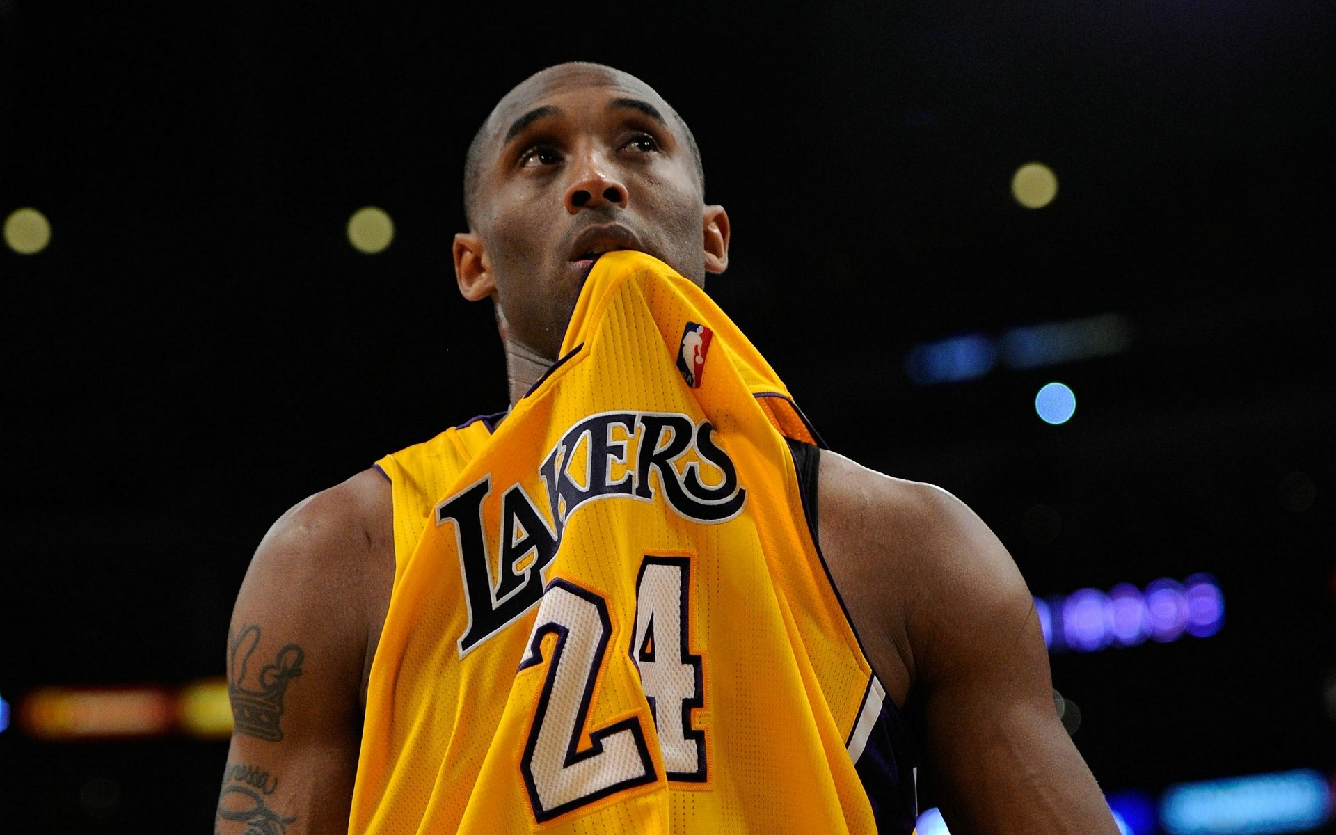 调整自己的 调整自己的